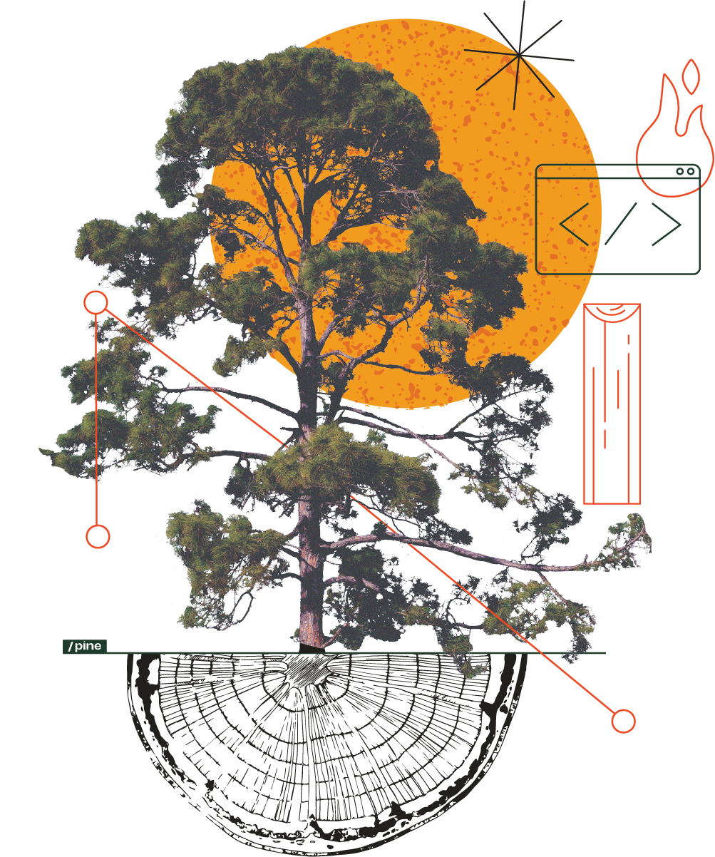 Illustration of a pine tree overlaid with abstract elements, including a large orange sun, code symbols, geometric lines, a flame icon, and a tree ring cross-section./Designed by Carly Berry - https:/carlyberry.design/ 