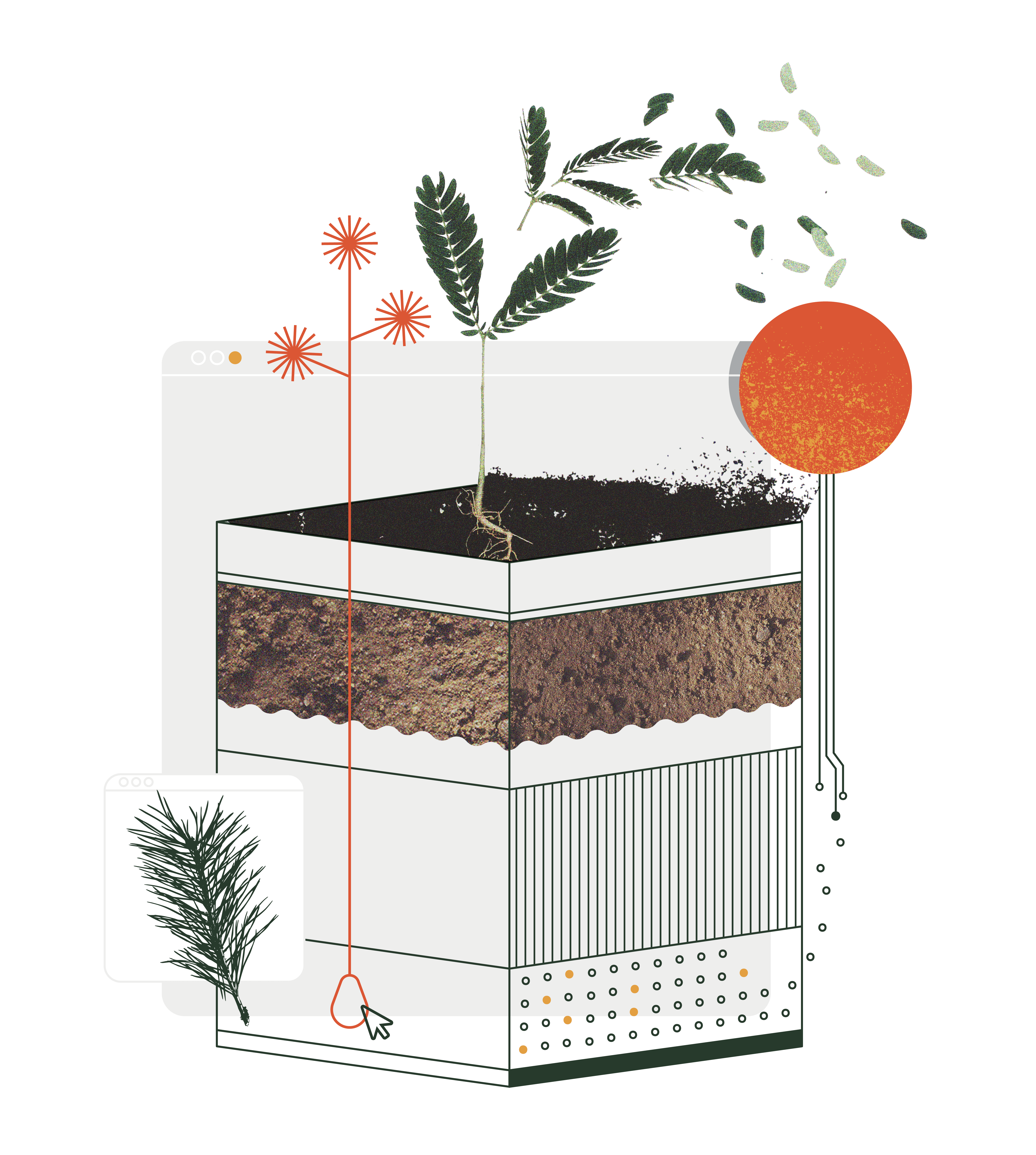A digital collage of a seedling growing in a cross-sectioned soil block, surrounded by abstract elements. The soil block is divided into distinct layers, with a small green seedling sprouting from the top. Floating seeds, a red sun-like shape, and digital interface elements such as browser windows and circuit-like lines are incorporated into the design, blending nature and technology./Designed by Carly Berry - https:/carlyberry.design/